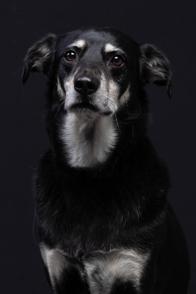 Belle