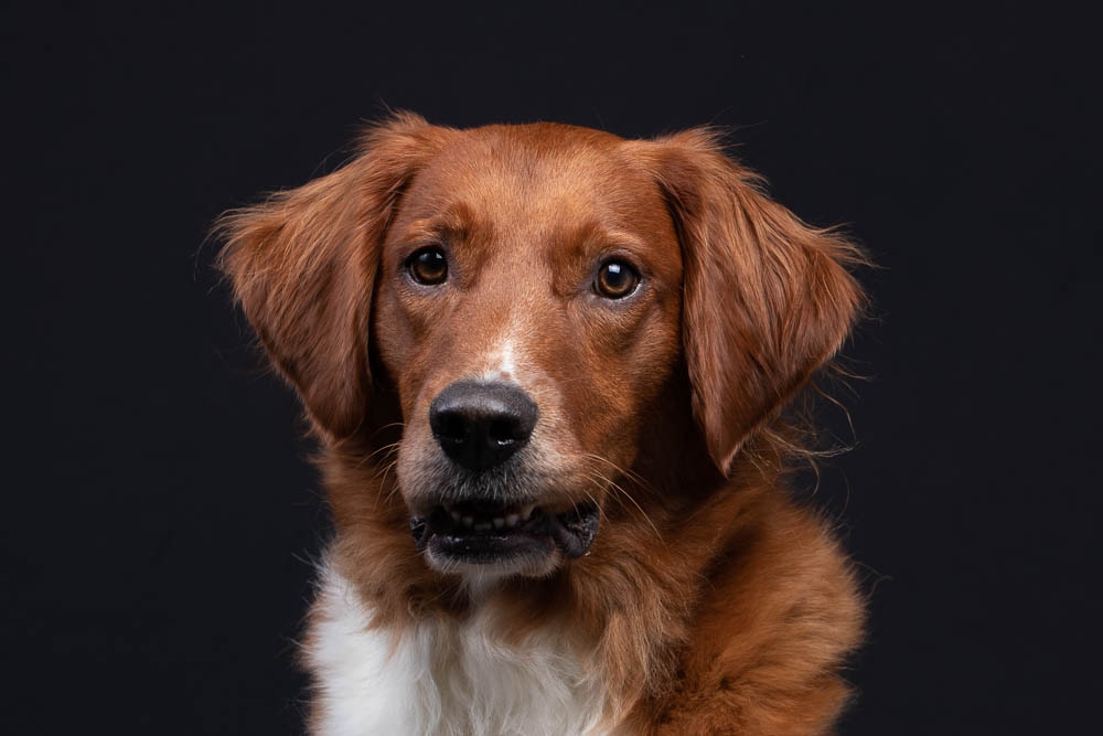 Charlie