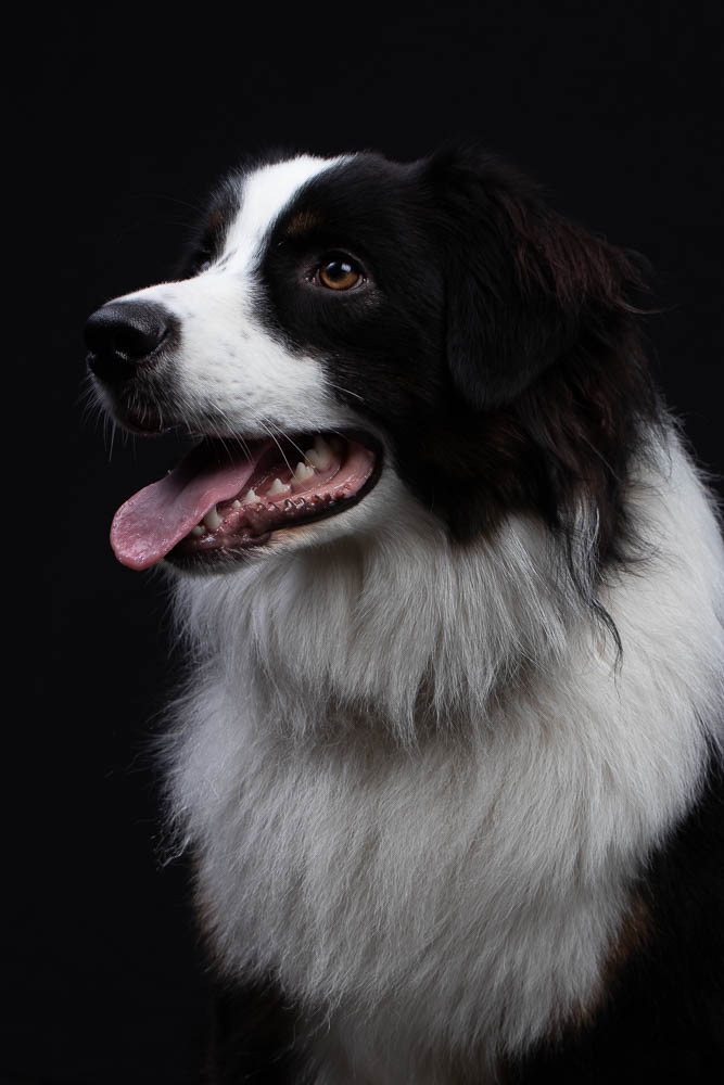 Pixel