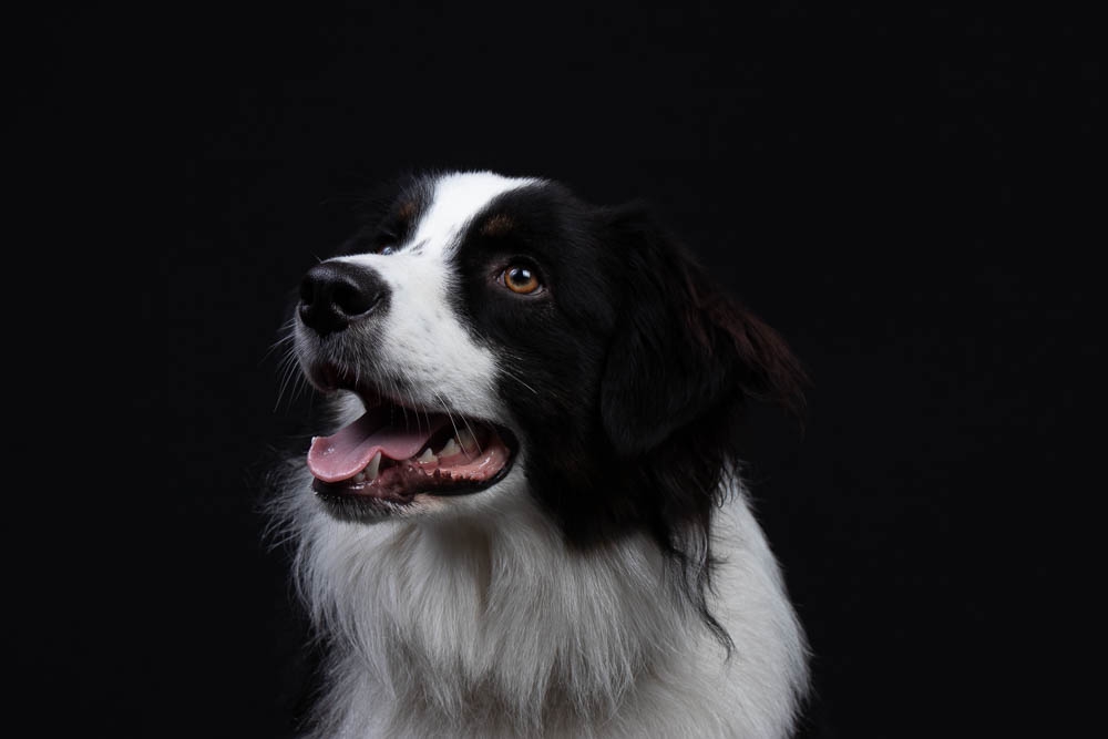 Pixel