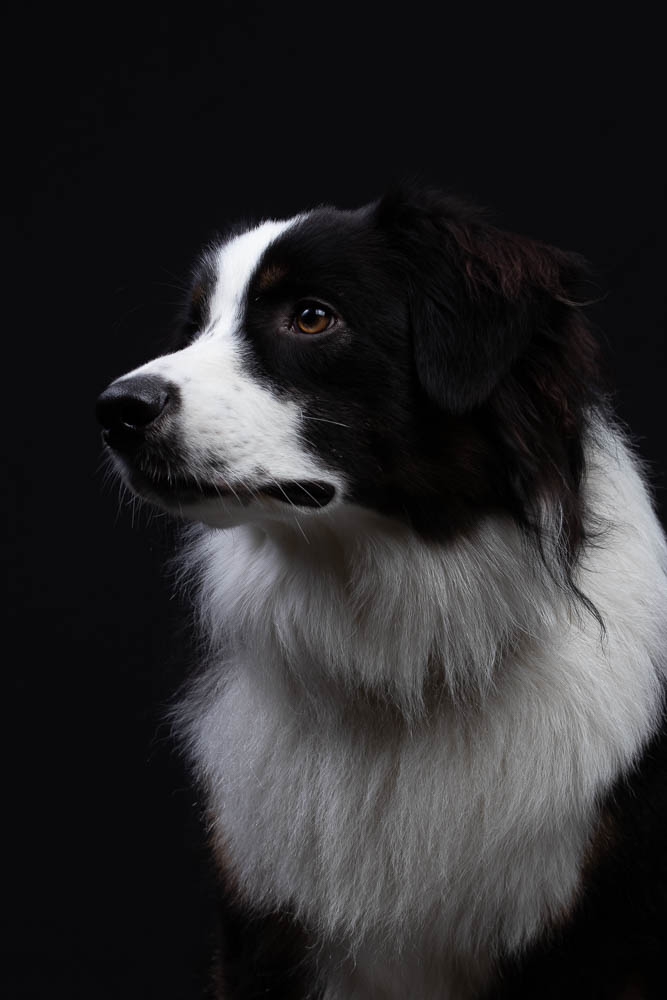 Pixel