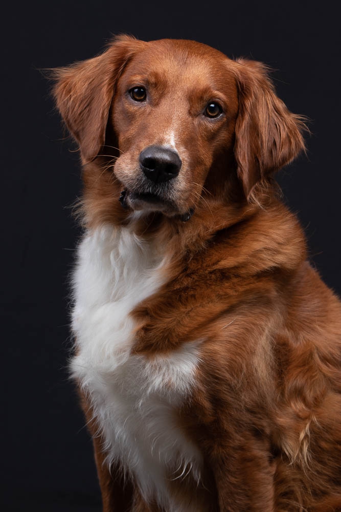 Charlie
