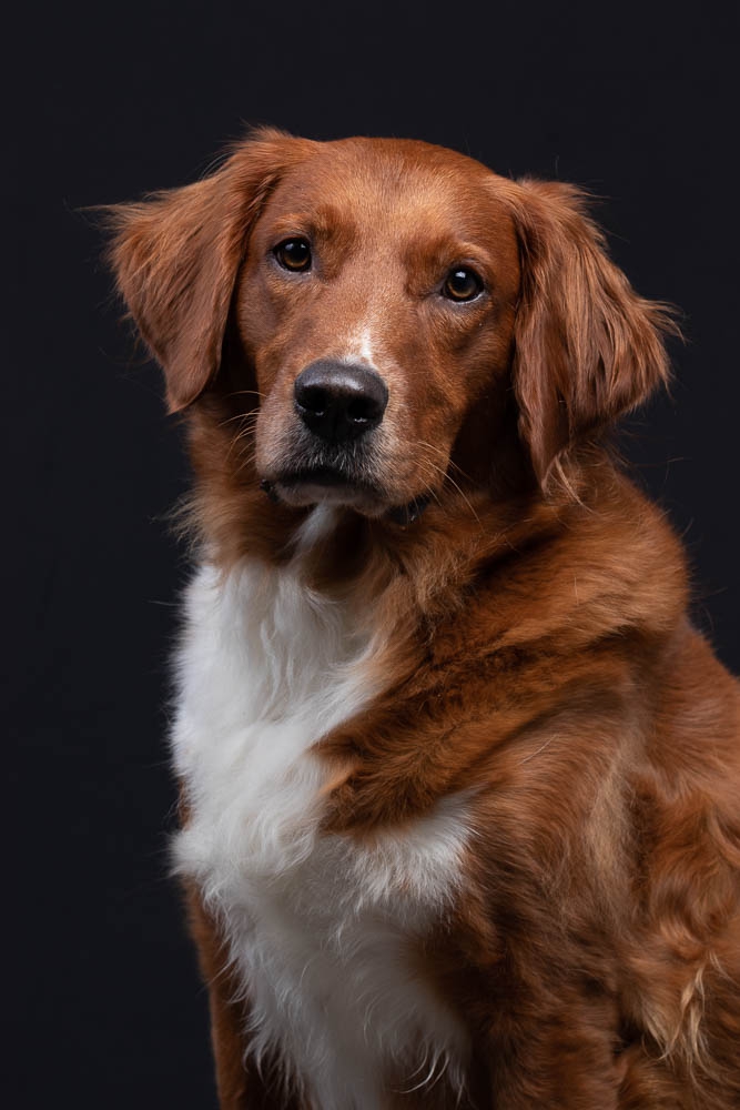 Charlie